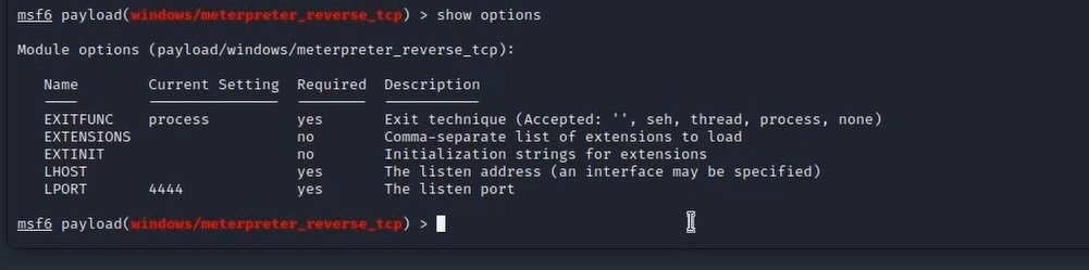 show-options-in-Metasploit